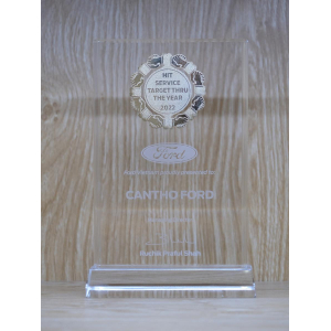 VII. Thành tích đạt được